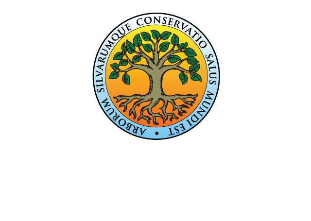 Dendrological Society of South Africa Logo